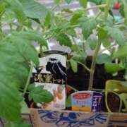 ヒメ日記 2025/05/22 12:06 投稿 サキヤマ 仙台★出張マッサージ委員会