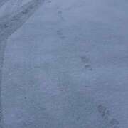 サキヤマ おはようございます😊 仙台★出張マッサージ委員会