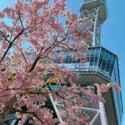 ヒメ日記 2025/03/23 01:01 投稿 カトウ 名古屋★出張マッサージ委員会