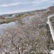 ヒメ日記 2025/04/03 12:21 投稿 カトウ 名古屋★出張マッサージ委員会