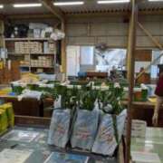 ヒメ日記 2025/07/18 15:51 投稿 マツダ 名古屋★出張マッサージ委員会