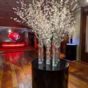 ヒメ日記 2026/03/07 23:51 投稿 マツダ 名古屋★出張マッサージ委員会