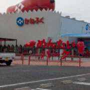 ヒメ日記 2026/03/15 02:31 投稿 マツダ 名古屋★出張マッサージ委員会