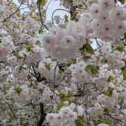 ヒメ日記 2026/04/10 00:53 投稿 マツダ 名古屋★出張マッサージ委員会