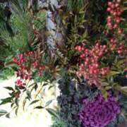 ヒメ日記 2025/01/02 22:21 投稿 サンジョウ 名古屋★出張マッサージ委員会