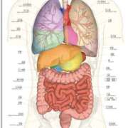 ヒメ日記 2025/01/29 12:23 投稿 サンジョウ 名古屋★出張マッサージ委員会