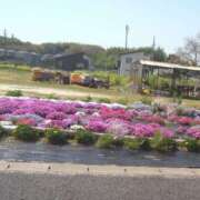 ヒメ日記 2025/04/16 23:41 投稿 サンジョウ 名古屋★出張マッサージ委員会