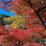 ヒメ日記 2025/11/16 00:51 投稿 サンジョウ 名古屋★出張マッサージ委員会