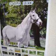 サンジョウ ありがとう♡ 名古屋★出張マッサージ委員会