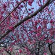 ヒメ日記 2026/02/17 13:52 投稿 サンジョウ 名古屋★出張マッサージ委員会