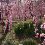 ヒメ日記 2026/03/19 12:51 投稿 サンジョウ 名古屋★出張マッサージ委員会