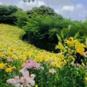 ヒメ日記 2026/05/15 17:41 投稿 サンジョウ 名古屋★出張マッサージ委員会