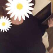 ヒメ日記 2025/04/07 19:21 投稿 ナカタニ 名古屋★出張マッサージ委員会