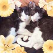 ヒメ日記 2025/10/18 20:51 投稿 フジミヤ 名古屋★出張マッサージ委員会