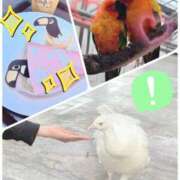 ヒメ日記 2025/11/18 20:21 投稿 フジミヤ 名古屋★出張マッサージ委員会