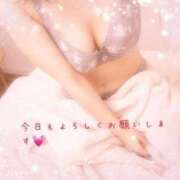 ヒメ日記 2026/08/14 09:16 投稿 花奏 ROYAL　GRACE