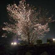 ヒメ日記 2026/04/06 18:29 投稿 佑来(ゆら) 人妻城 横浜本店