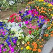 川上いちの にゃん ベルサイユの薔薇