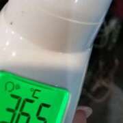 ヒメ日記 2025/01/06 15:03 投稿 そら【美女不思議姫】 Beppin house