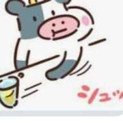 ヒメ日記 2025/01/08 17:31 投稿 そら【美女不思議姫】 Beppin house