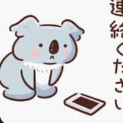 ヒメ日記 2025/10/09 12:22 投稿 そら【美女不思議姫】 Beppin house