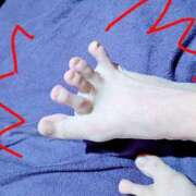 ヒメ日記 2025/10/24 20:50 投稿 そら【美女不思議姫】 Beppin house