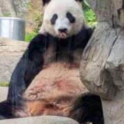 ヒメ日記 2025/11/19 15:34 投稿 そら【美女不思議姫】 Beppin house