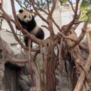 ヒメ日記 2025/11/20 15:35 投稿 そら【美女不思議姫】 Beppin house