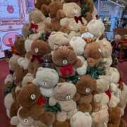 ヒメ日記 2025/12/03 14:24 投稿 そら【美女不思議姫】 Beppin house