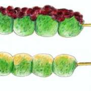 ヒメ日記 2025/12/03 19:24 投稿 そら【美女不思議姫】 Beppin house