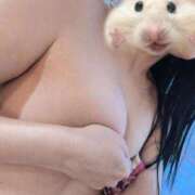 ヒメ日記 2025/12/24 16:20 投稿 そら【美女不思議姫】 Beppin house