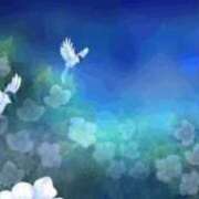 ヒメ日記 2026/02/12 12:50 投稿 そら【美女不思議姫】 Beppin house