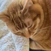 ヒメ日記 2025/04/07 23:52 投稿 流川【人妻コース】 CLUB CANDY（鳥栖店）