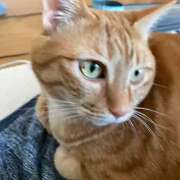 ヒメ日記 2025/04/11 13:52 投稿 流川【人妻コース】 CLUB CANDY（鳥栖店）