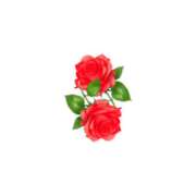 ヒメ日記 2025/05/02 17:02 投稿 流川【人妻コース】 CLUB CANDY（鳥栖店）