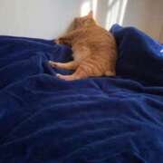 ヒメ日記 2026/01/06 14:39 投稿 流川【人妻コース】 CLUB CANDY（鳥栖店）