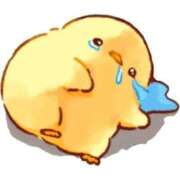 ヒメ日記 2025/01/15 09:04 投稿 まひる チェリーデイズ新宿店