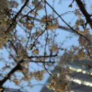 ヒメ日記 2025/03/27 19:54 投稿 かすみ 元町奥さま