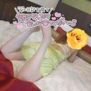 ヒメ日記 2025/06/04 23:41 投稿 のの 素人妻達☆マイふぇらレディー