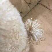 ヒメ日記 2025/02/06 23:48 投稿 さな（さな）超Ｓ級激推し最高峰 aroma ace.