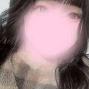 ヒメ日記 2024/12/19 20:19 投稿 きらら 秘書室（すすきの）