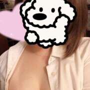 ヒメ日記 2025/02/07 19:17 投稿 きらら 秘書室（すすきの）