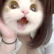 ヒメ日記 2025/04/24 20:29 投稿 きらら 秘書室（すすきの）