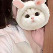 ヒメ日記 2025/11/16 14:38 投稿 きらら 秘書室（すすきの）