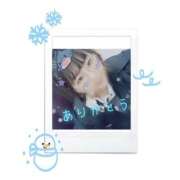 ヒメ日記 2024/12/15 04:05 投稿 かめ 奴隷コレクション