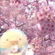 ヒメ日記 2025/04/11 00:51 投稿 かめ 奴隷コレクション