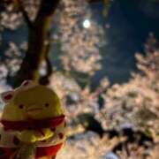 ヒメ日記 2025/04/16 17:35 投稿 かめ 奴隷コレクション