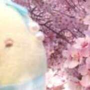 ヒメ日記 2025/04/20 06:14 投稿 かめ 奴隷コレクション