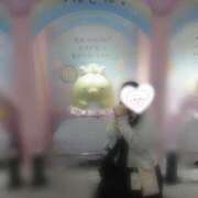 ヒメ日記 2025/04/24 08:38 投稿 かめ 奴隷コレクション