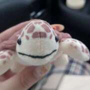 ヒメ日記 2025/06/04 17:31 投稿 かめ 奴隷コレクション